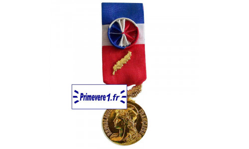 Médaille du Travail Or - 35 ans d'ancienneté