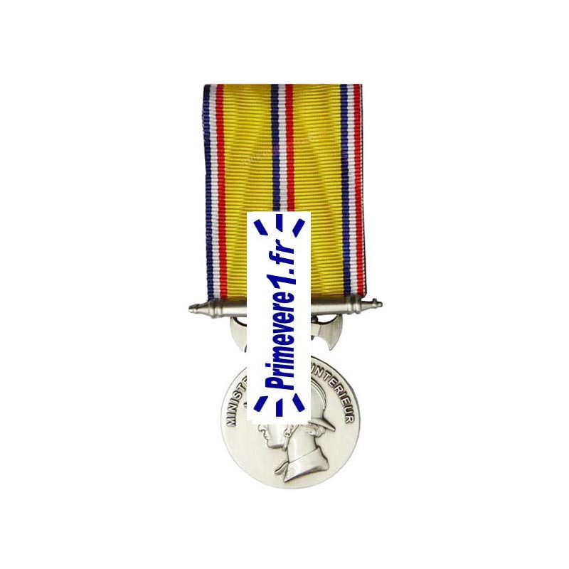 Médaille pompier 10 ans d'ancienneté Médaille pompier 10 ans d'ancienneté